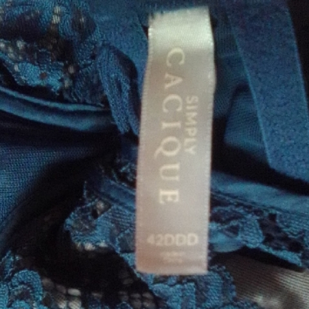 Lane Bryant Blue Lace Chemise Sleepwear